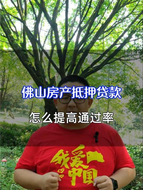 了解佛山南海房屋抵押贷款的审批流程(佛山放心的房子抵押贷款公司在哪里)